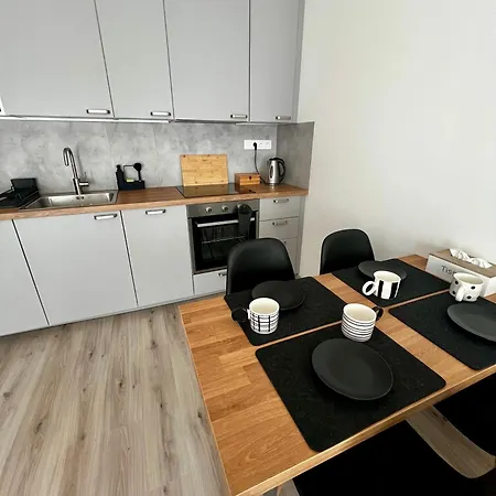Prague Airport Apartment *